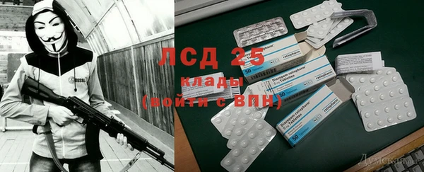 круглые Аркадак